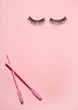 Creative concept beauty photo of lashes extensions brush on pink background.