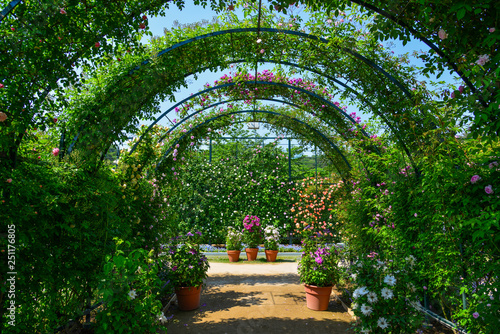 Dekoracja na wymiar  zielony-naturalny-tunel-z-roslin-i-kwiatow