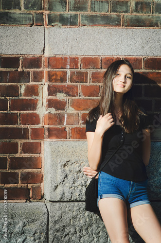 Beautiful Long Haired Girl On A Brick Wall Background The Concept