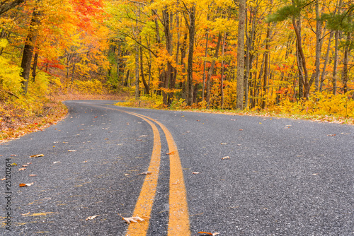 Cuadros en Lienzo Autumn along the Blue Ridge Parkway, Virginia