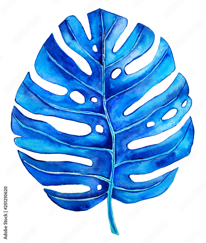 Watercolor monstera leaf illustration isolated on white background. Hand  painted blue tropical leaf. Stock Illustration | Adobe Stock