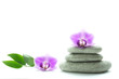 Two purple orchid blossoms - one on top of a pile of three white roundstones and the other next to it with three green leaves - text space