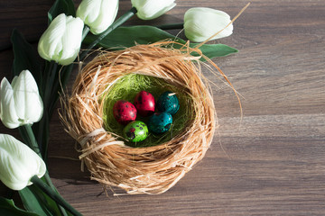 painting Easter eggs in nest and white tullip on wooden background