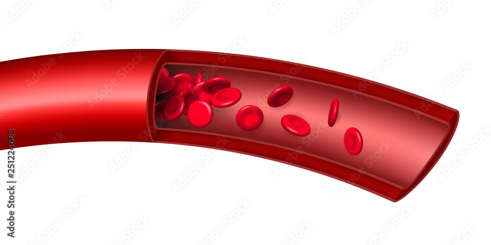 Creative vector illustration of artery red blood cells stream flow ...