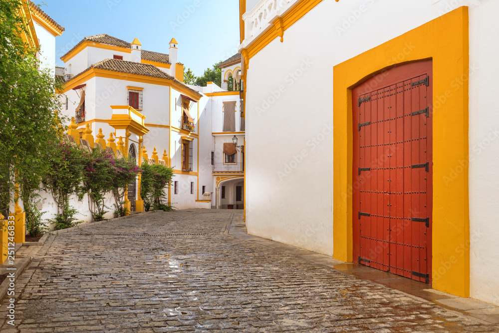 Seville, Spain - Architecture barrio Santa Cruz district