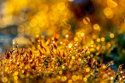 zlocisty-abstrakcjonistyczny-tlo-z-bokeh-defocused-swiatlami