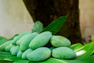 tropical Thai green mango is popular fruit on banana leaf, mango has a unique flavor with sour tasty and high vitamin C, good for for healthy and dietary.