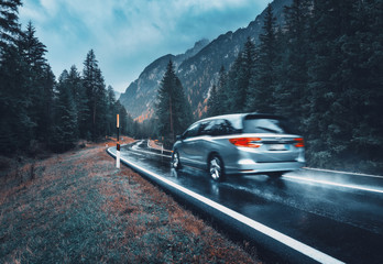 Wall Mural - blurred car in motion on the road in autumn forest in rain. perfect asphalt mountain road in overcas