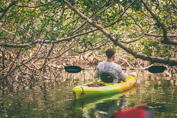 kayak man kayaking in mangrove nature of everglades, florida, usa travel activity. watersport touris
