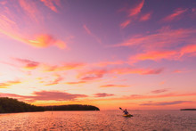 Kayaker Man Kayaking Sea Kayak At Sunset On Summer Ocean Nature Landscape. Amazing Scenery With Pink Colored Sky.