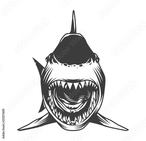Angry shark front view template
