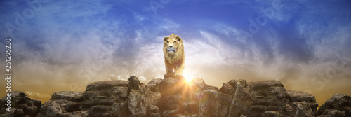Fototapeta  Lion at sunset. 3d rendering