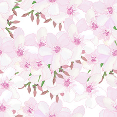  Wiosna kwiatowy wzór z delikatnymi kwiatami i pąkami różowego oleandra na białym tle. Tropikalna niekończąca się tekstura. Letni nadruk. Projektowanie tkanin. Kwitnący ogród Nerium. Ilustracji wektorowych