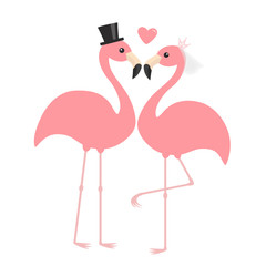 Wall Mural - Pink flamingo set. Wedding couple. Exotic tropical bird. Black hat, veil, heart. Bride and groom. Happy Valentines Day. Cute cartoon character. Zoo animal. Flat design. White background.