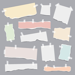 Wall Mural - Taped paper. Ripped pieces of white and colored note pages vector realistic template. lllustration of ripped note, torn blank paper