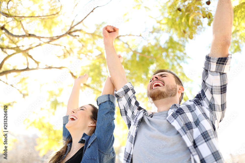 Excited couple celebrating success raising arms in a park - obrazy, fototapety, plakaty 