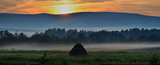Fototapeta Na ścianę - Summer evening. Fog appears in the lowlands. It becomes cool and damp. Smells like herbs and berries