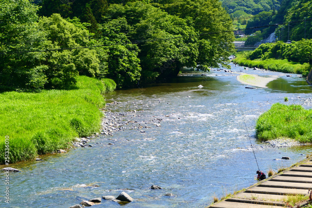 Stock-Foto „日本の風景、夏の気仙川。陸前高田 岩手 日本。7月上旬