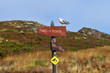 Seagull on sign, cies islands, nature reserve, galicia, spain