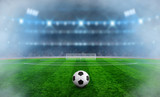 Fototapeta Sport - Ball on the green field