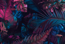 Creative Fluorescent Color Layout Made Of Tropical Leaves. Flat Lay Neon Colors. Nature Concept.