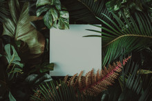 Creative Layout Made Of Tropical Leaves With Paper Card Note. Flat Lay. Nature Concept.
