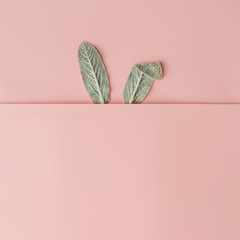 Wall Mural - Happy Easter minimal concept. Bunny rabbit ears made of natural green leaves on pastel pink background. Flat lay.