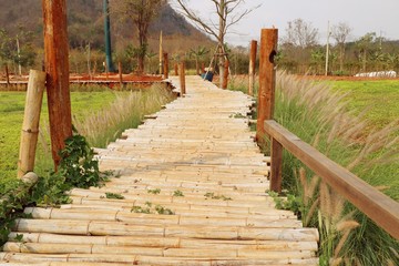  Bamboo bridge in nature