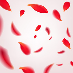 Wall Mural - Falling swirl of red rose petals isolated on white background. Vector illustration with beauty roses petals frame, applicable for design of greeting cards on March 8 and St. Valentine s Day.