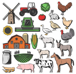 Wall Mural - Cattle farm animals and agriculture harvesting