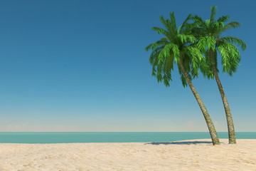 Leinwandbilder - Tourism and Travel Concept. Empty Tropical Paradise Beach with White Sand and Coconut Palm Trees. 3d Rendering
