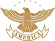 Eagle with stars and banner with text America