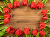 Fototapeta Kwiaty - Red tulips border