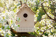 Wooden birdhouse in a garden in springtime, front view, Blossoming plum tree in spring
