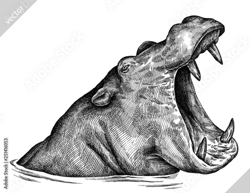 black and white engrave isolated hippo vector illustration Poster Mural XXL