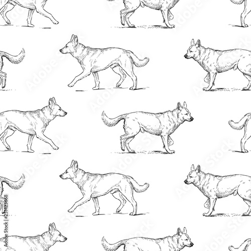 Plakat Seamless background of guard dogs sketches