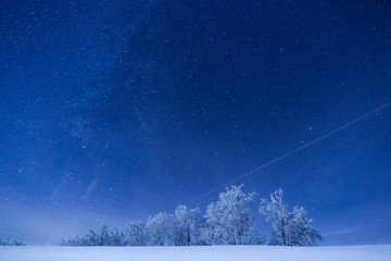 There is nothing more beautiful while trekking in the mountains than to admire the night sky above a frozen forest