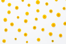 Flowers Composition. Pattern Made Of Yellow Flowers On White Background. Flat Lay, Top View.