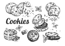 Collection Of American Cookies With Chocolate Crumb