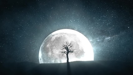 Wall Mural - Time lapse of a sprouting tree against the background of a full moon and a rotating universe around