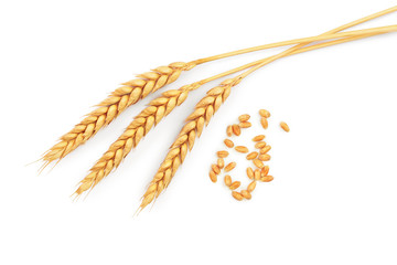 grain and ears of wheat isolated on white background. Top view