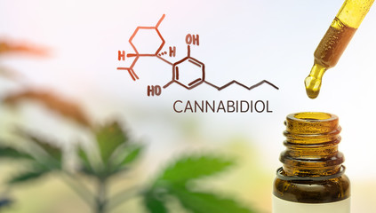 CBD in pipette against Hemp plant and chemical molecule