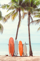 Wall Mural - surfboard and palm tree on beach background.