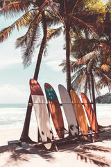 Wall Mural - surfboard and palm tree on beach background.