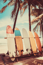 Surfboard And Palm Tree On Beach Background.