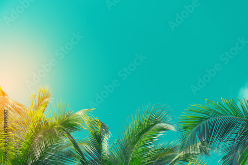 Copy space of tropical palm tree with sun light on sky background.