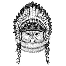 Persian Cat. Cute Cat. Wild Animal Wearing Inidan Headdress With Feathers. Boho Chic Style Illustration For Tattoo, Emblem, Badge, Logo, Patch. Children Clothing