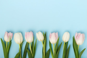 A row of tulips with copy space background for Mother's day decoration