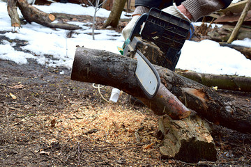 A man is sawing a log for firewood.