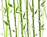 Fototapeta Dziecięca - Bamboo forest set. Nature Japan, China. Plant Green tree with leaves. Rainforest in Asia.